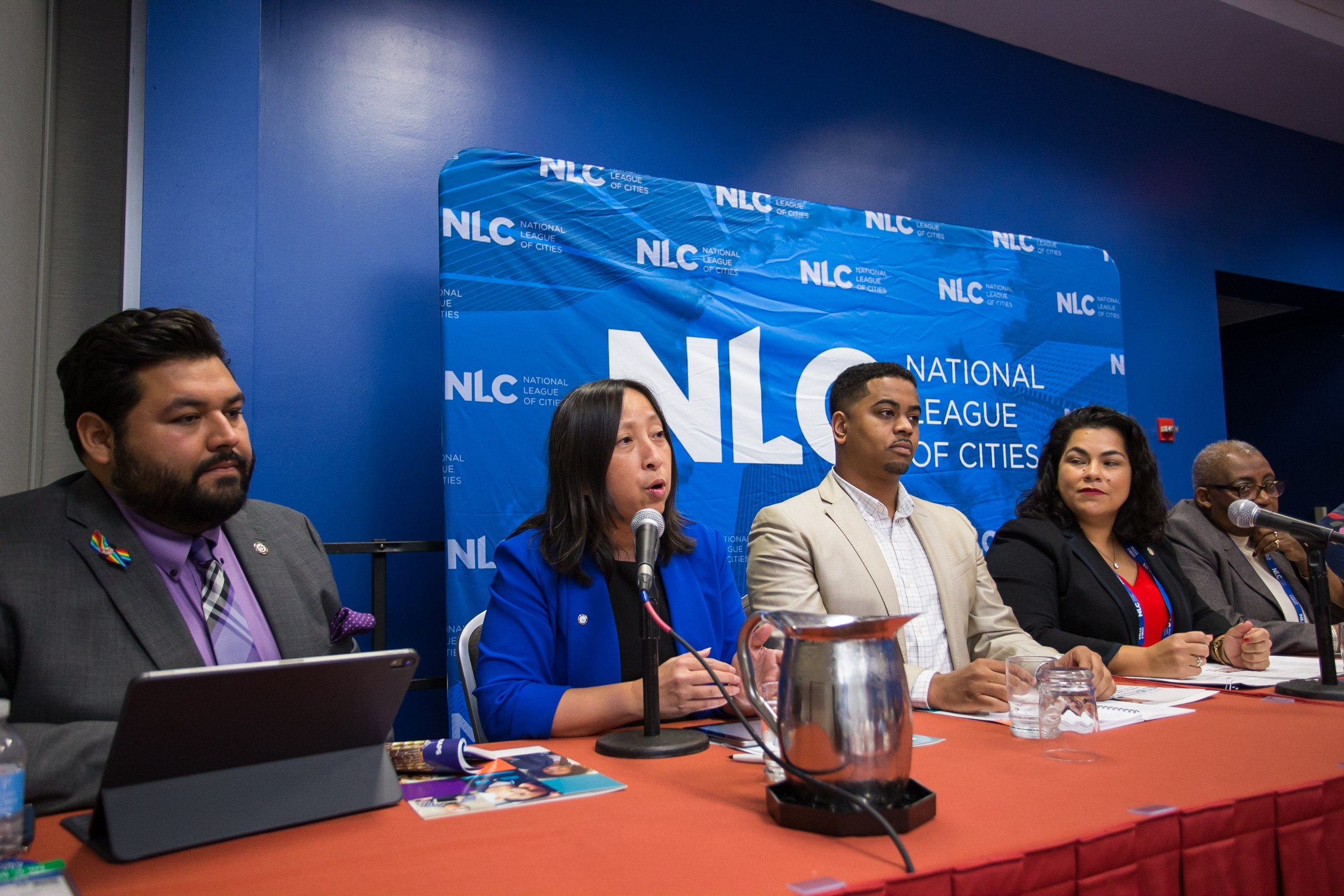 Constituency Group Census panel