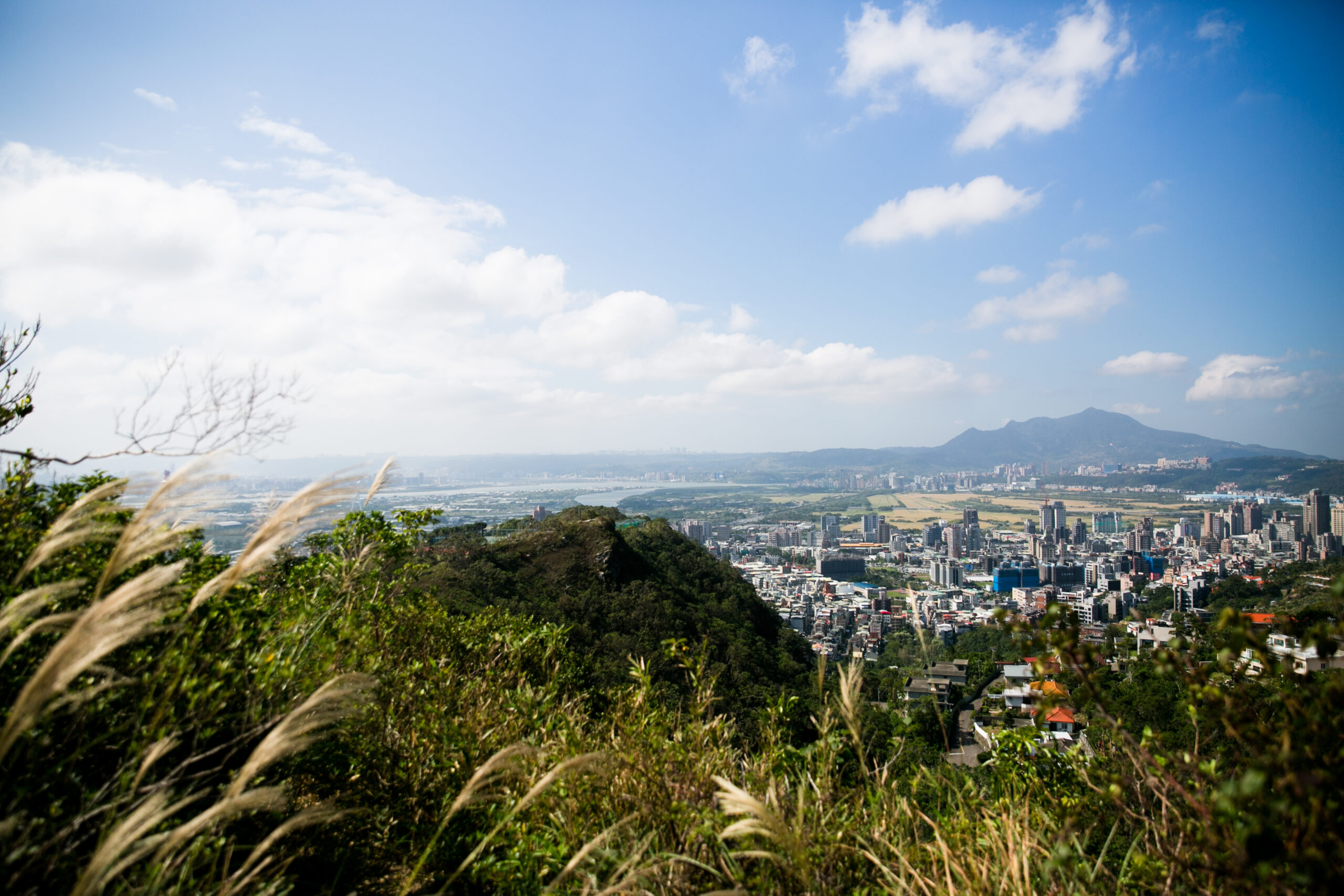 City and nature