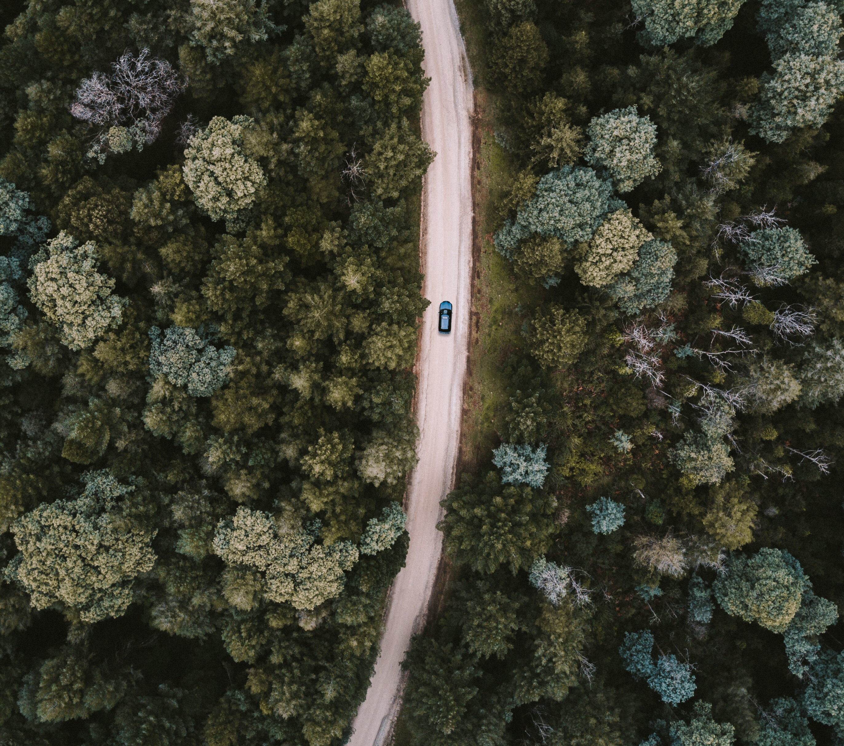 Car driving down road