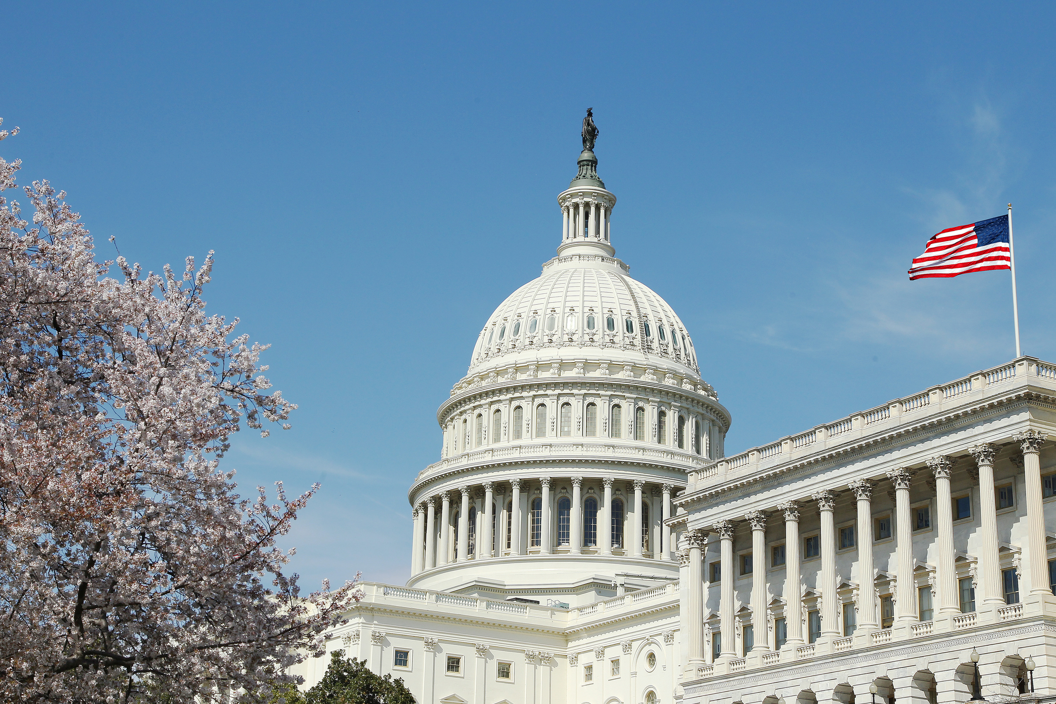 U.S. Capitol Building