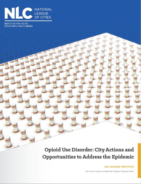 opioid backgrounder cover