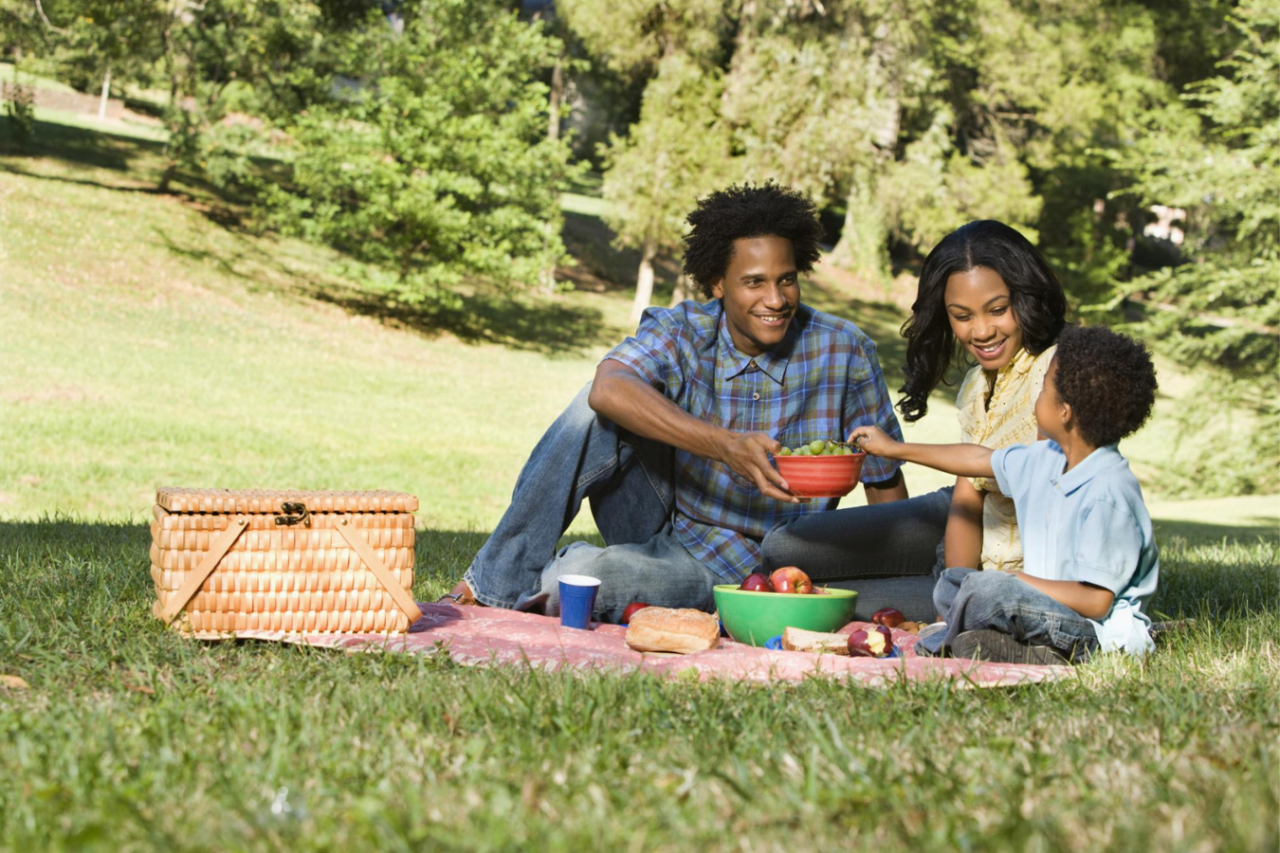 family picnic