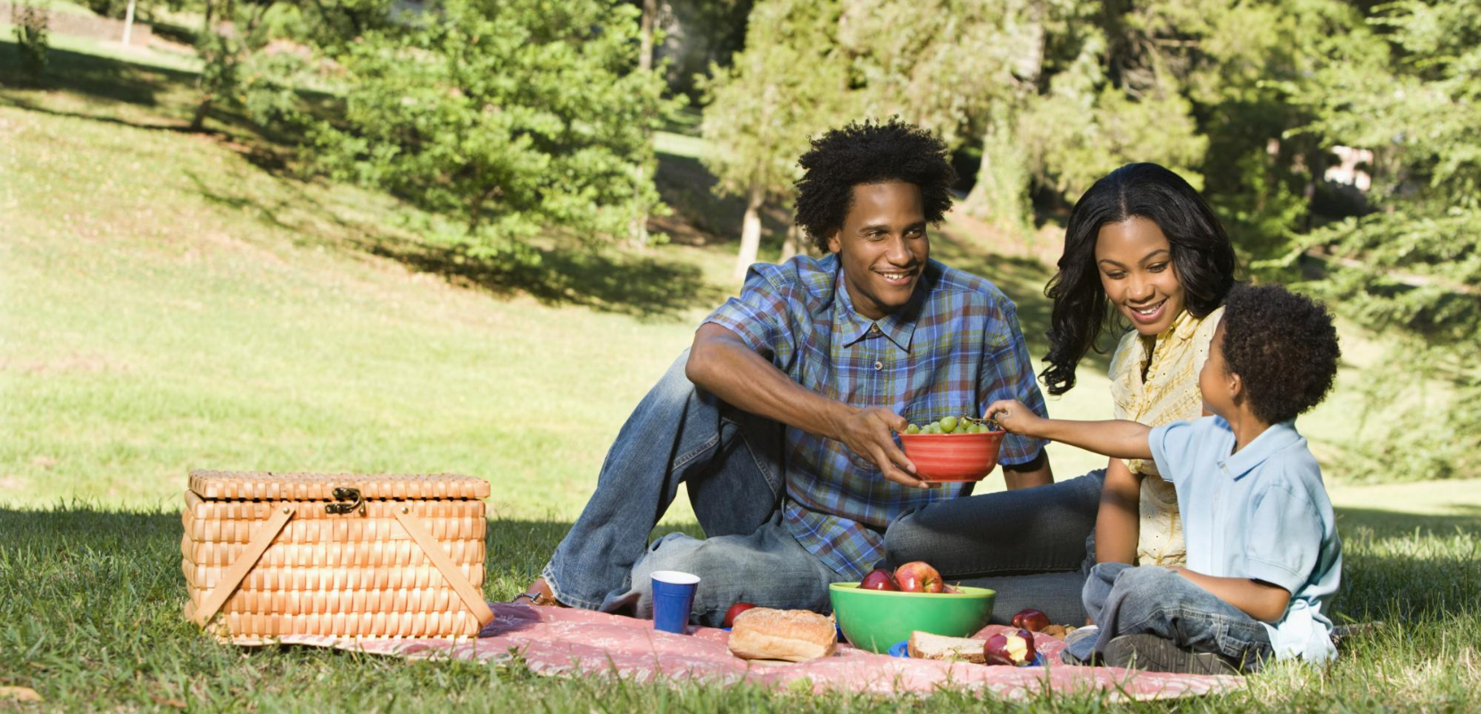 family picnic