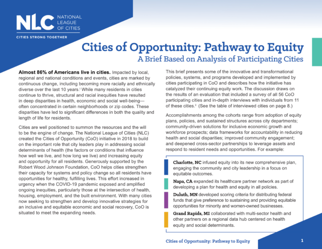 Pathway to Equity brief