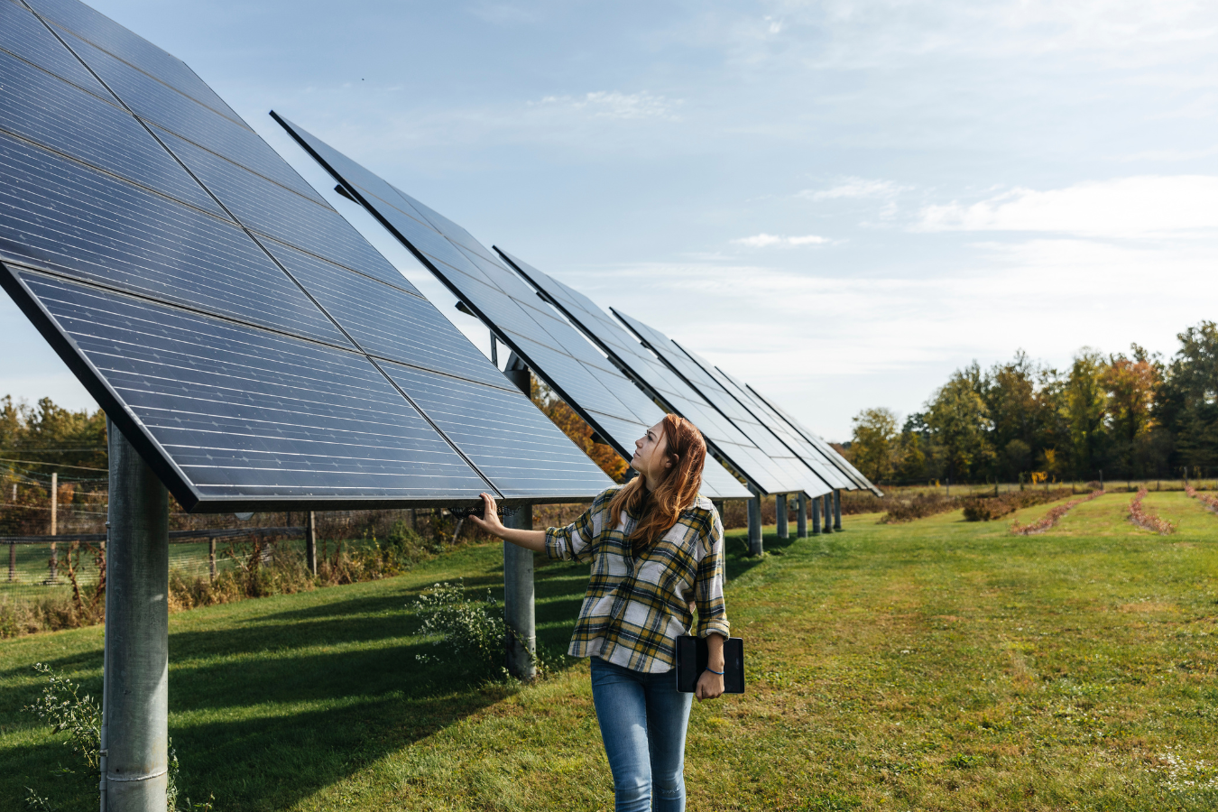 III. Importance of Tax Incentives and Rebates for Green Energy Projects