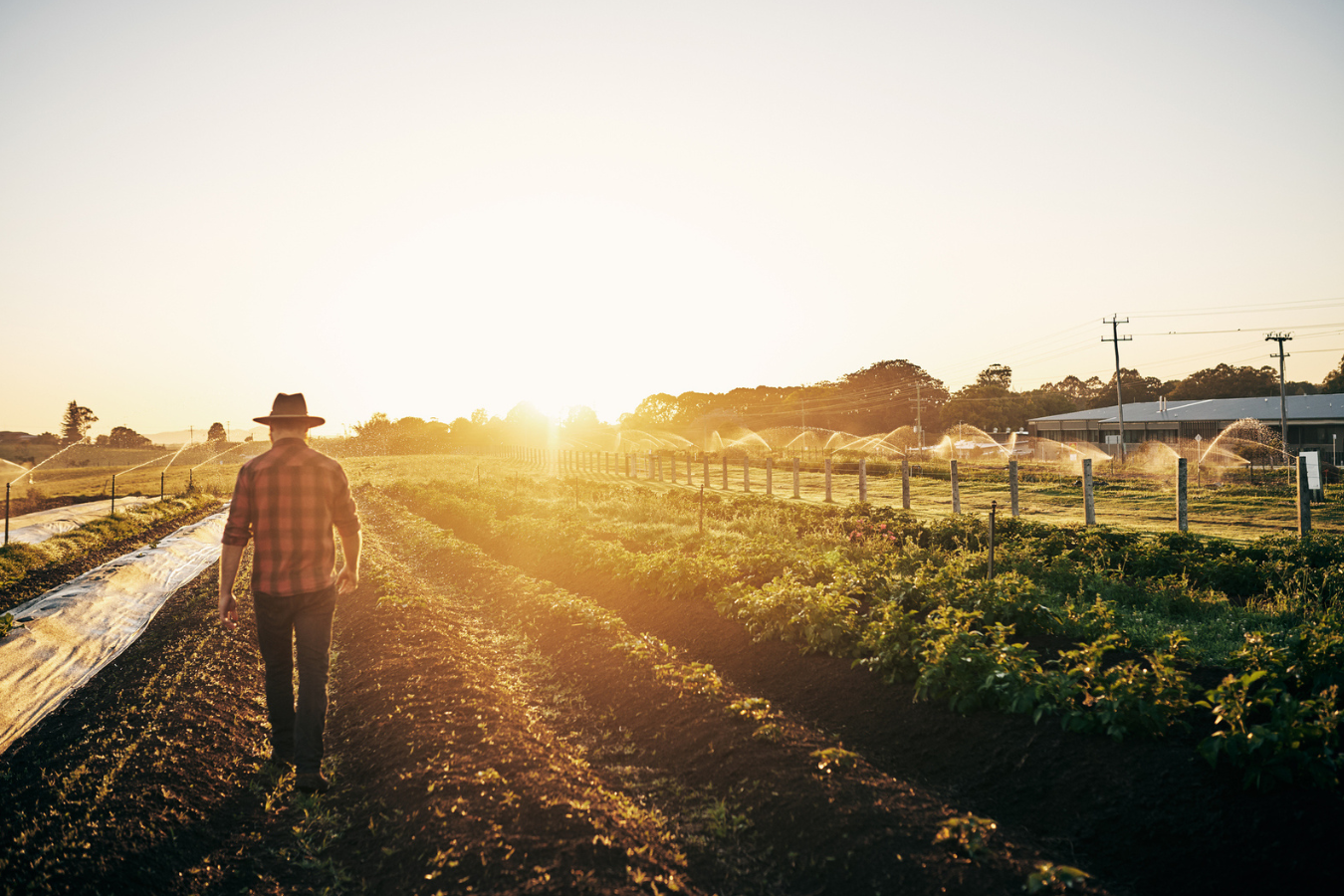Significance of the Farm Bill Reauthorization for Every Community