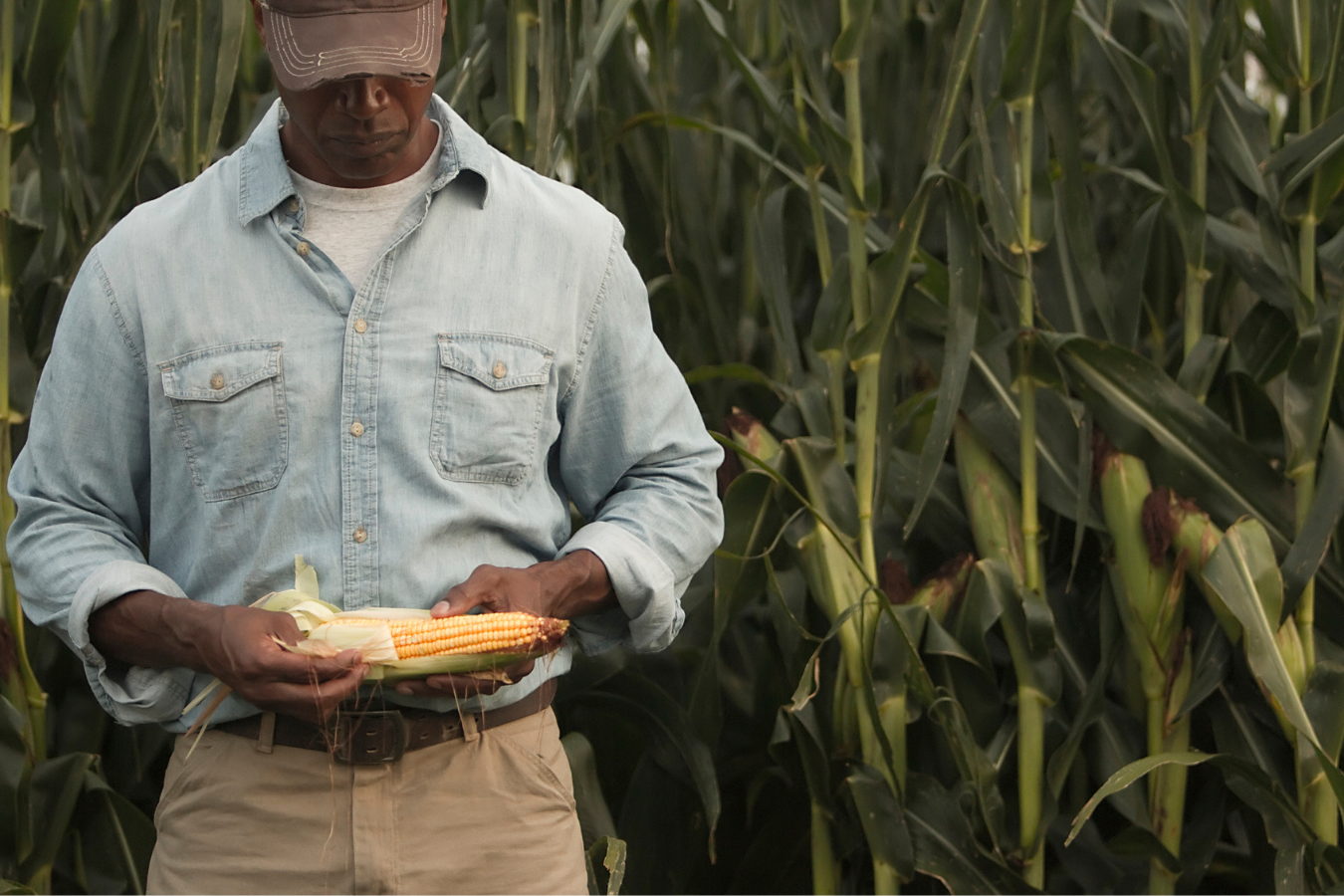2023 Farm Bill A Driver for Conservation National League of Cities