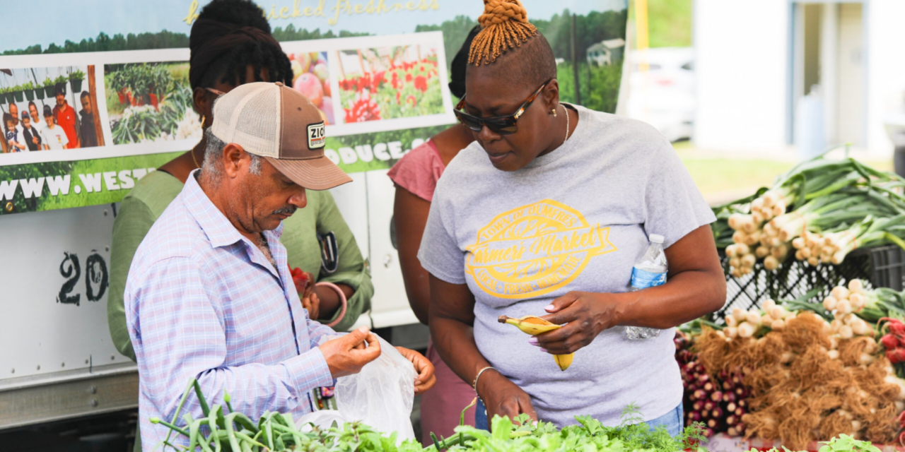 Strengthening Small Communities How ARPA Funds Are Empowering Dumfries