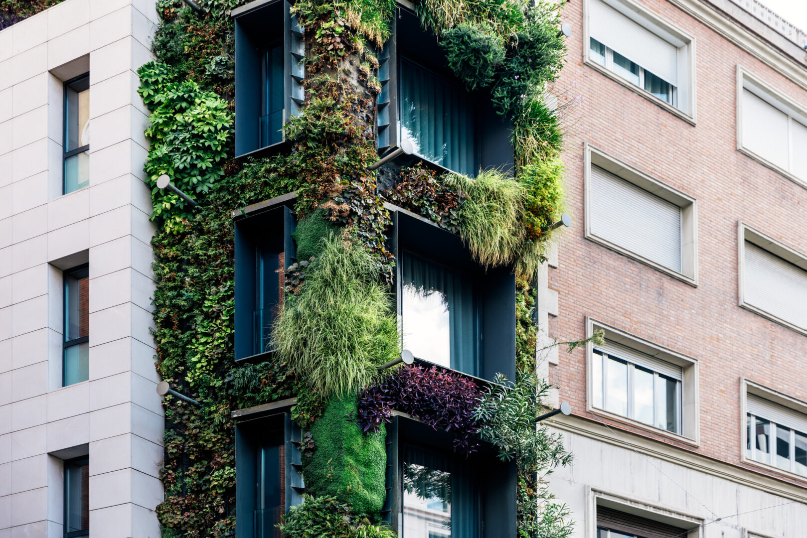 View of Catalyzing Biodiversity on Buildings - National League of Cities
